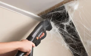 a-person-using-a-vacuum-cleaner-to-remove-cobwebs-from-a-ceiling-corner-keeping-the-house-spider-fr