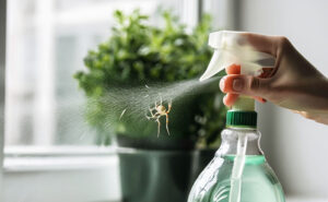 a-spray-bottle-with-peppermint-oil-solution-being-sprayed-onto-a-windowsill-to-repel-spiders-natural